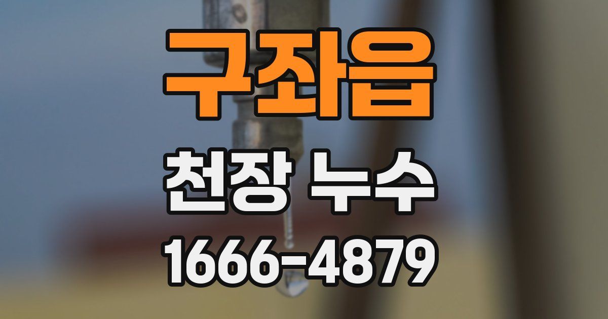 구좌읍 천장 누수
