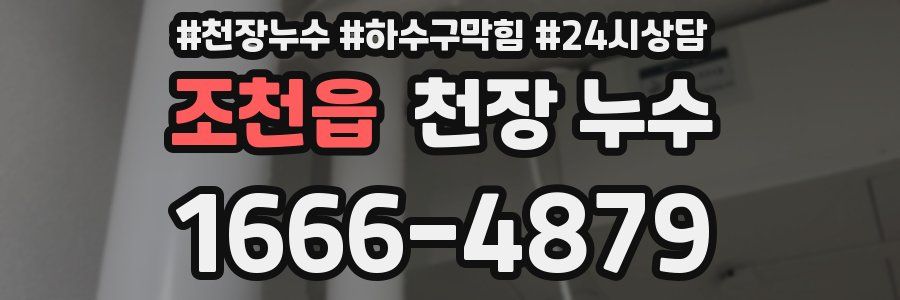 조천읍 천장 누수