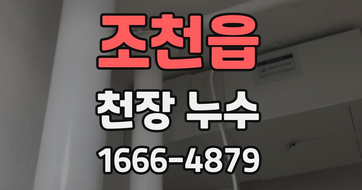 조천읍 천장 누수