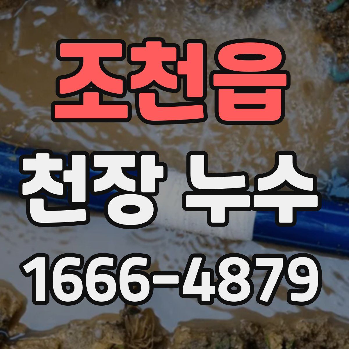 조천읍 천장 누수