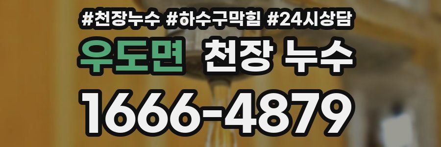 우도면 천장 누수