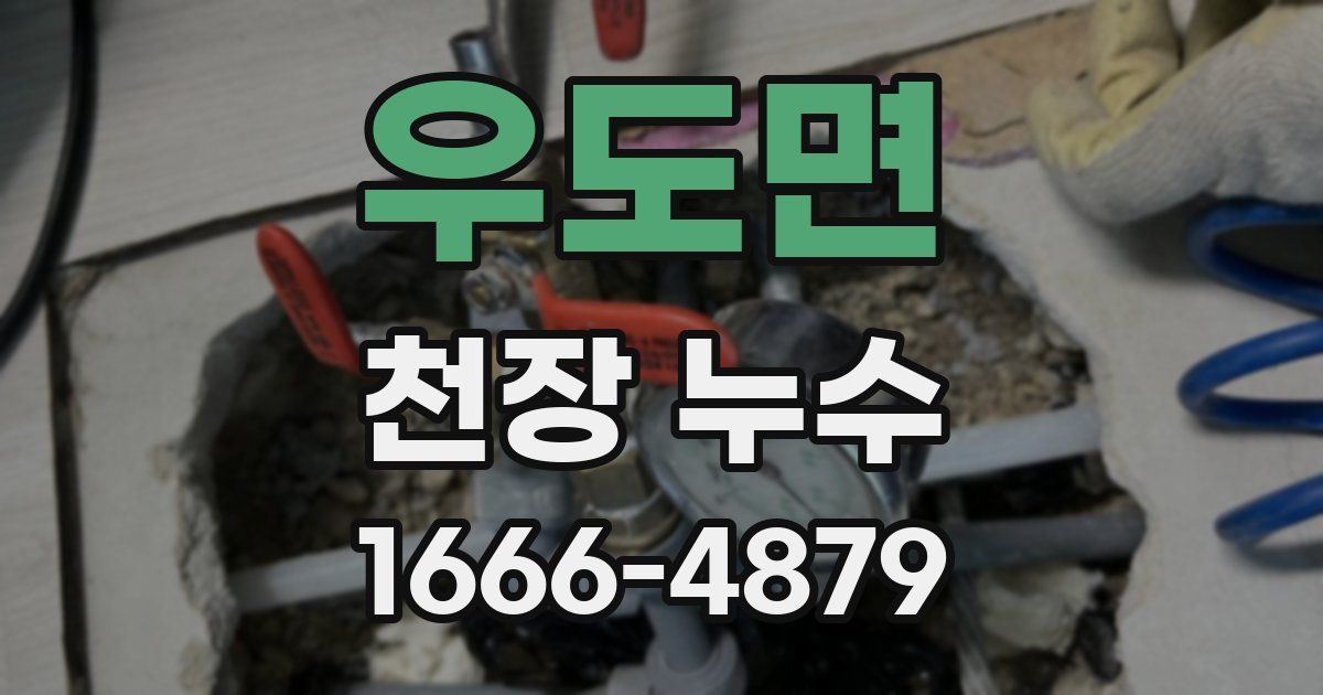 우도면 천장 누수