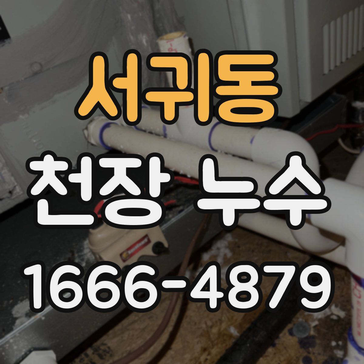 서귀동 천장 누수