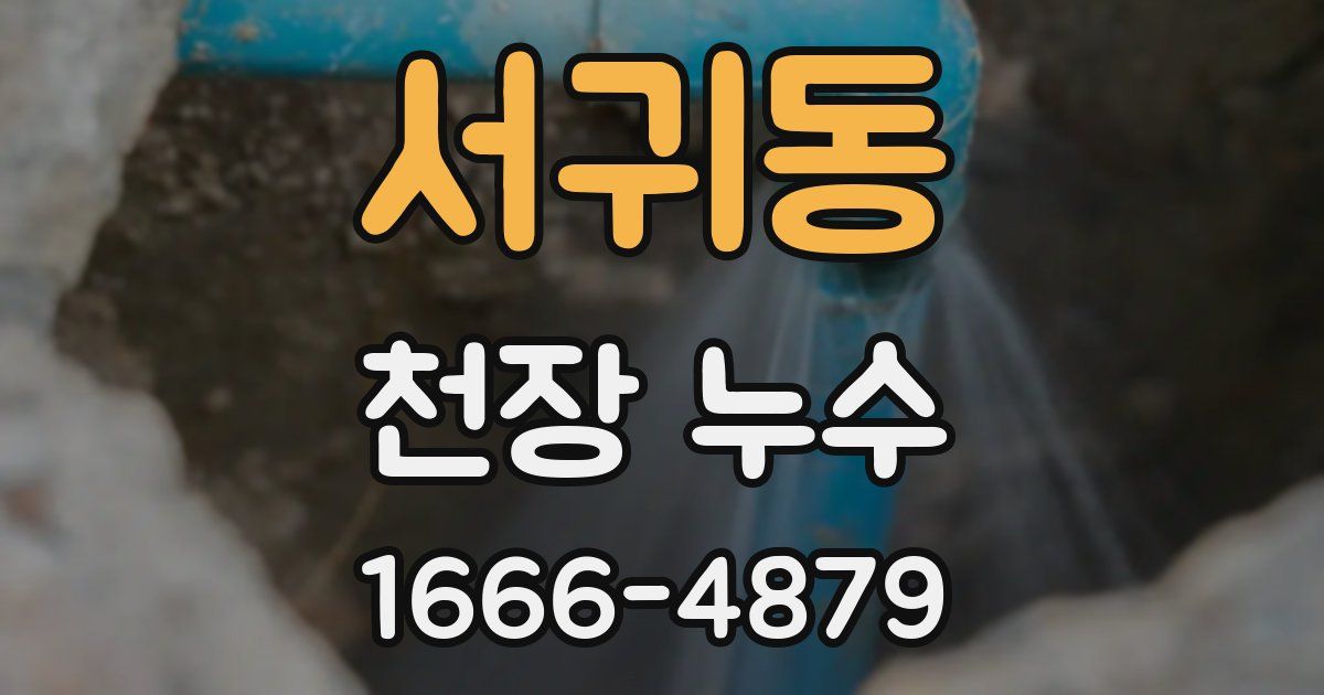 서귀동 천장 누수