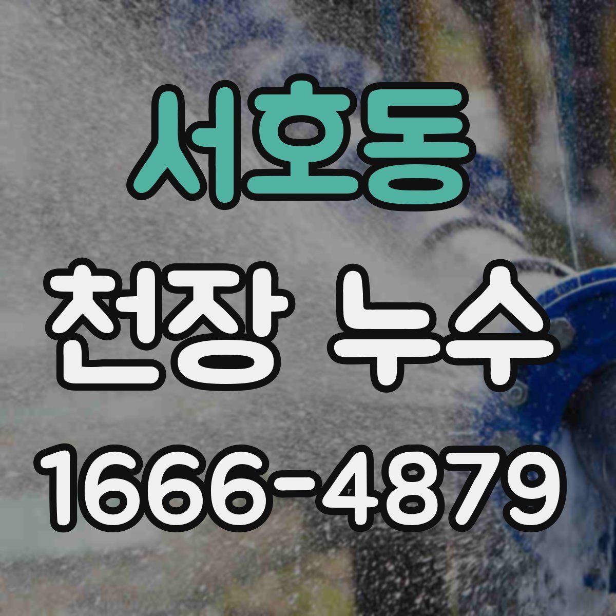 서호동 천장 누수