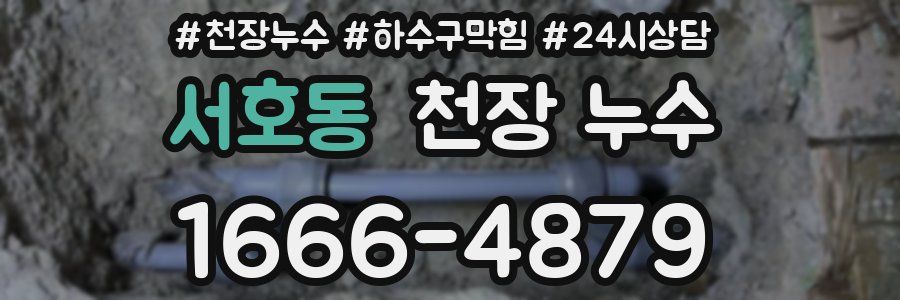 서호동 천장 누수