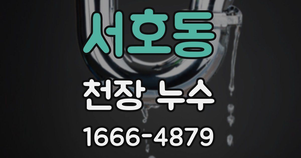 서호동 천장 누수