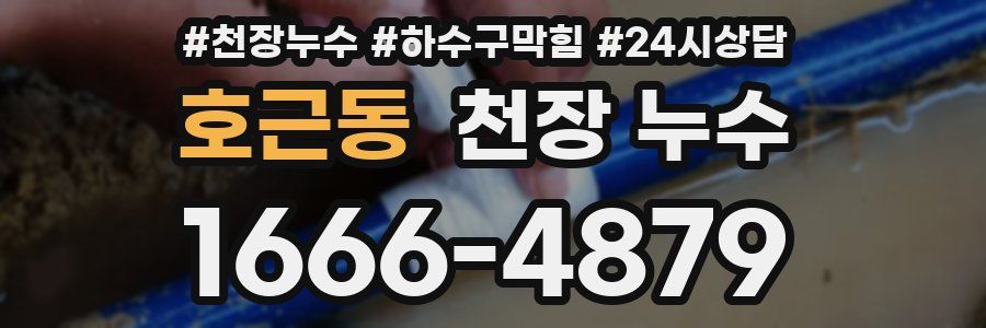 호근동 천장 누수