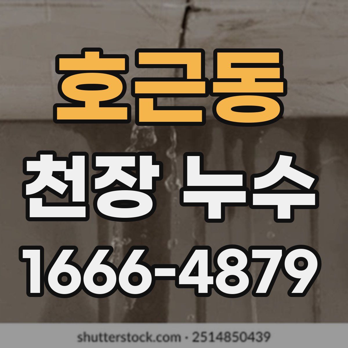 호근동 천장 누수