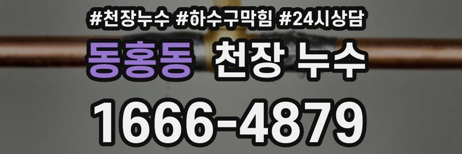 동홍동 천장 누수