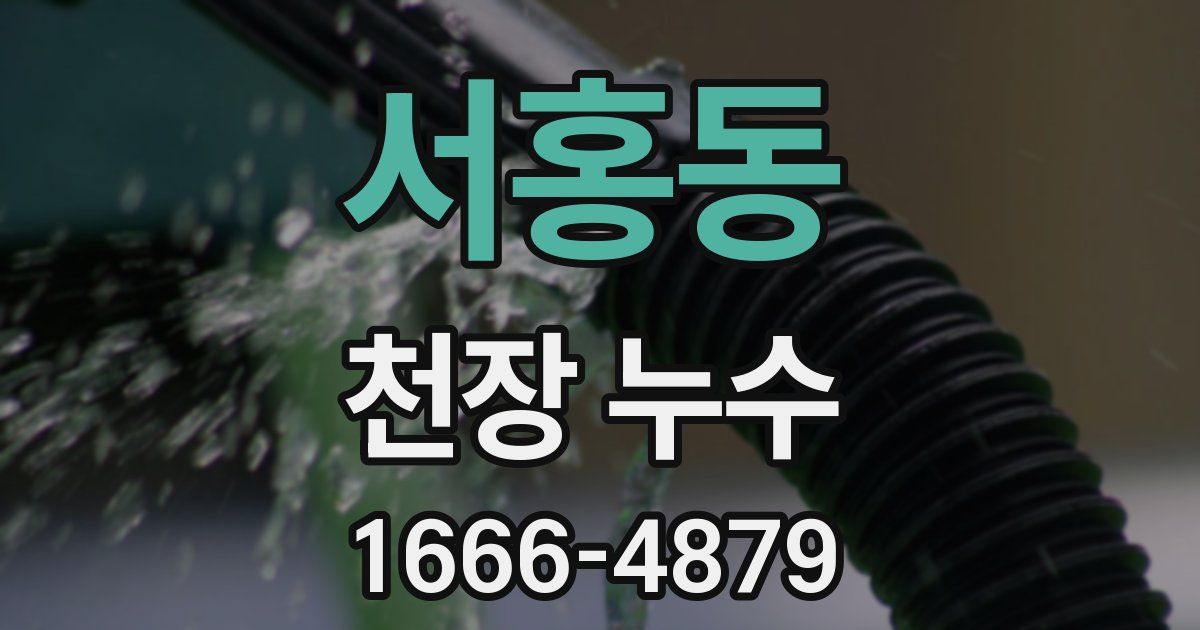 서홍동 천장 누수