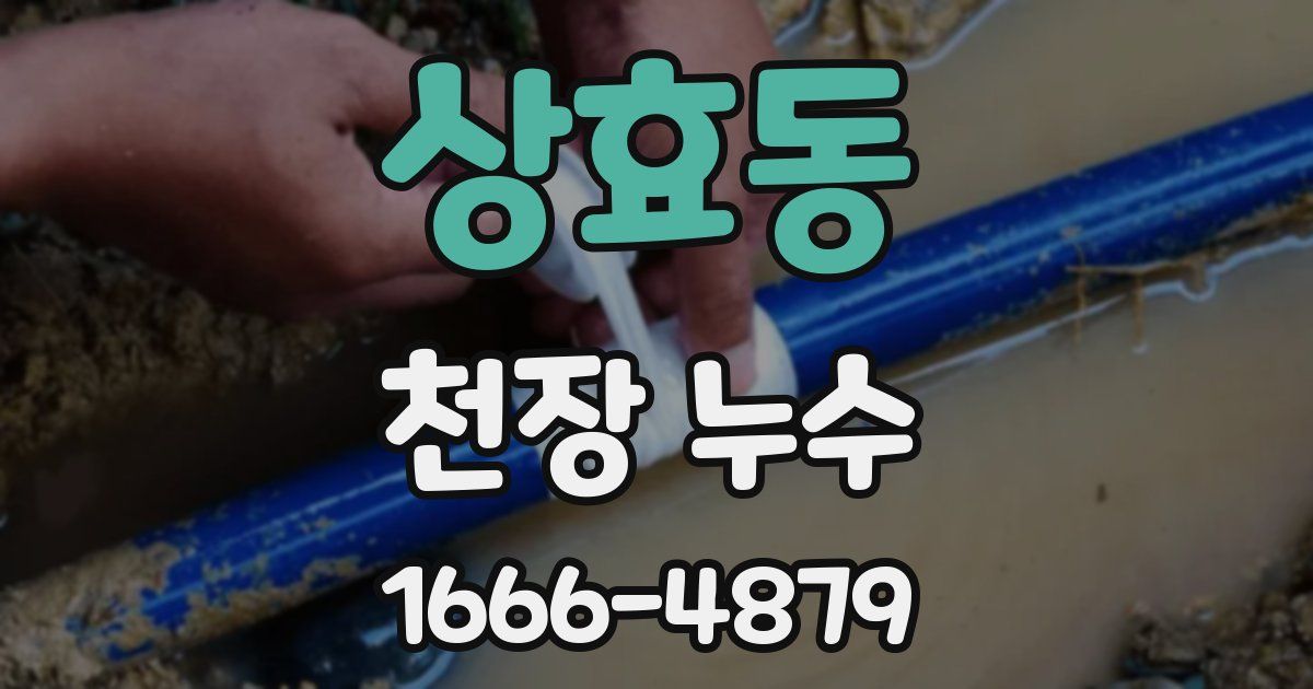 상효동 천장 누수