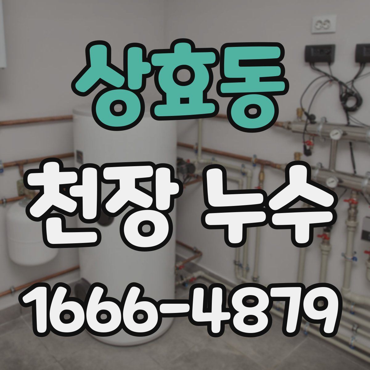 상효동 천장 누수