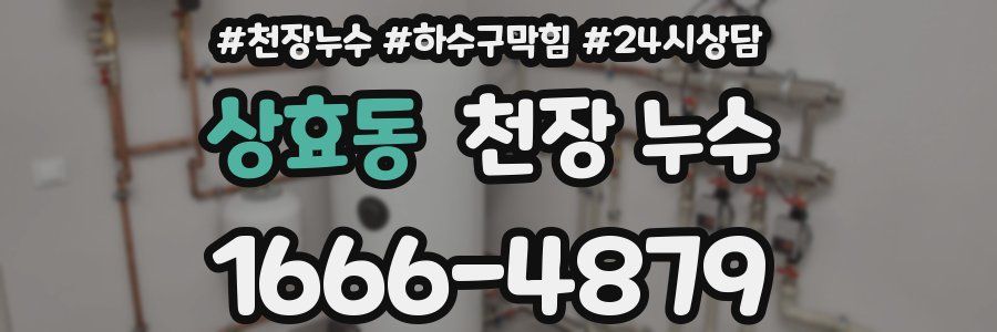 상효동 천장 누수