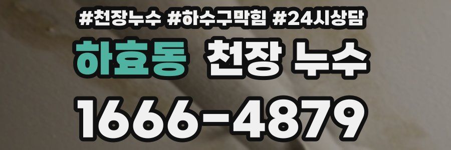 하효동 천장 누수