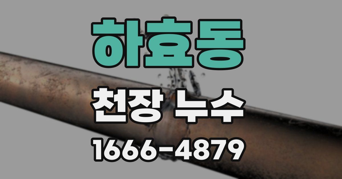 하효동 천장 누수