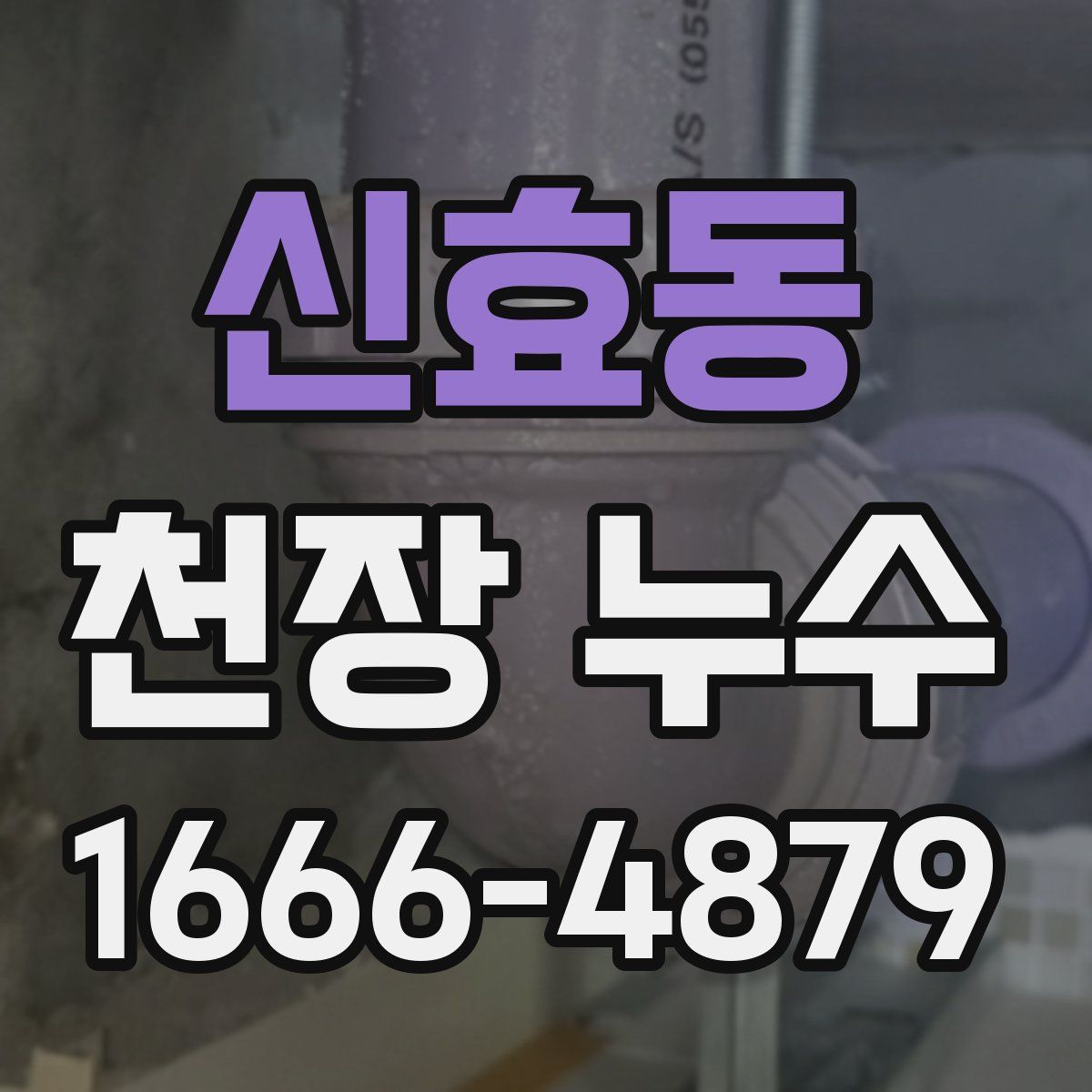 신효동 천장 누수