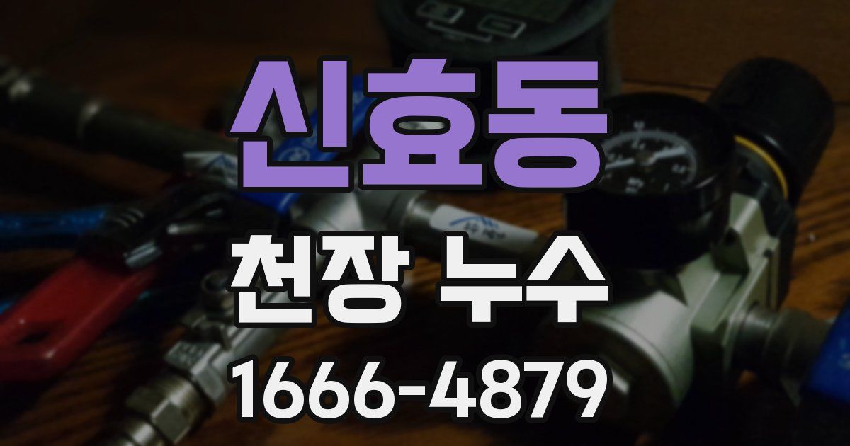 신효동 천장 누수