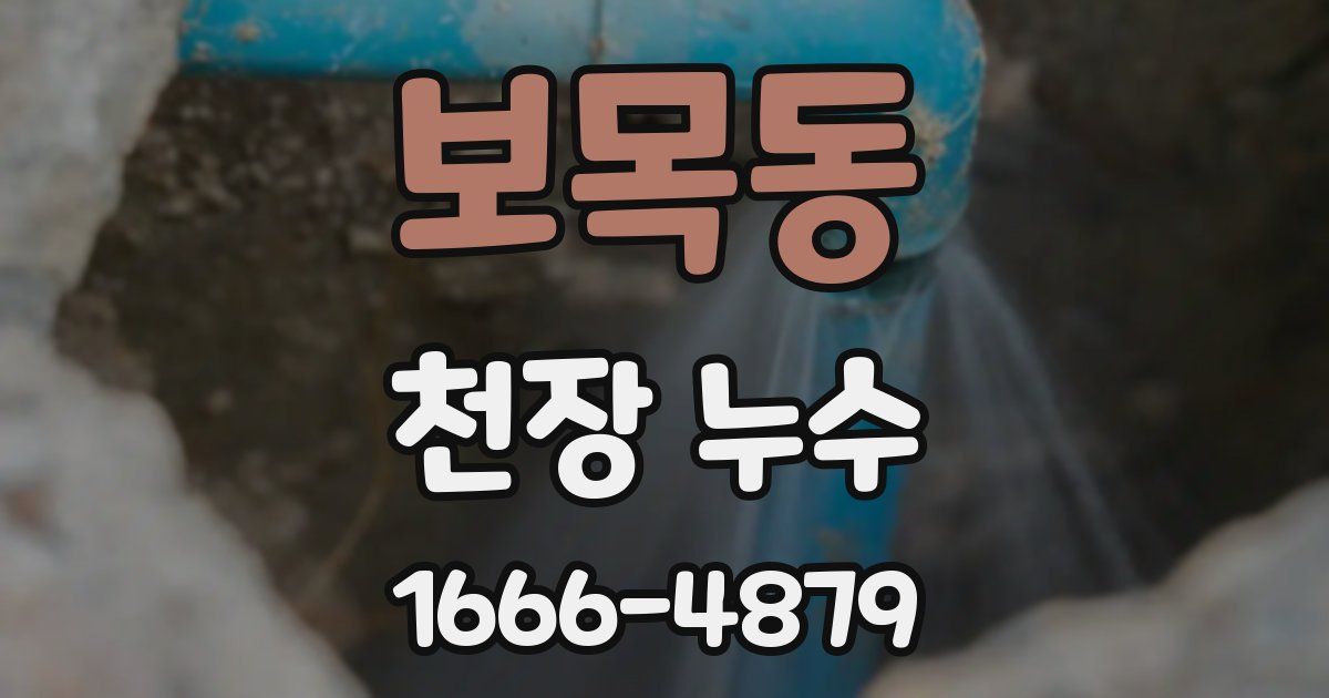 보목동 천장 누수