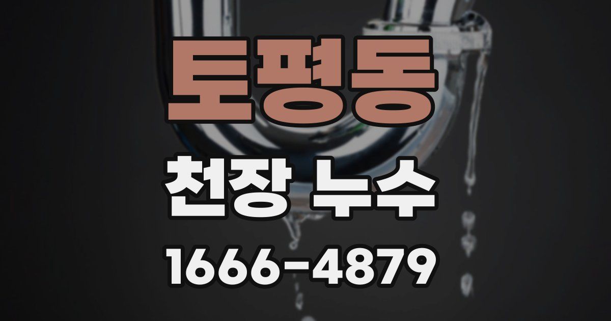 토평동 천장 누수