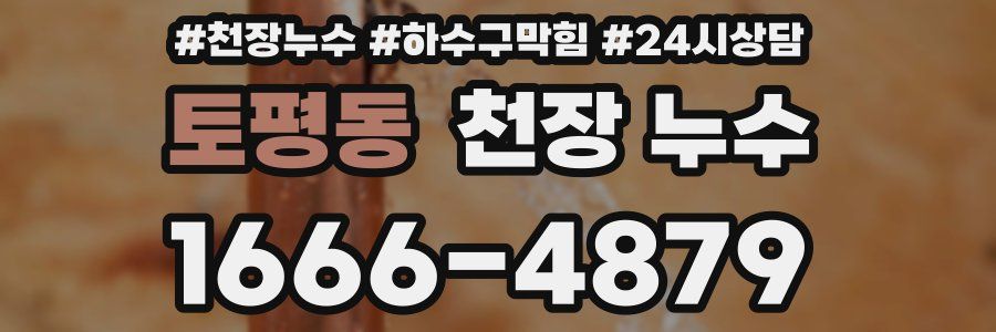 토평동 천장 누수