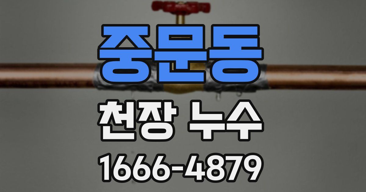 중문동 천장 누수