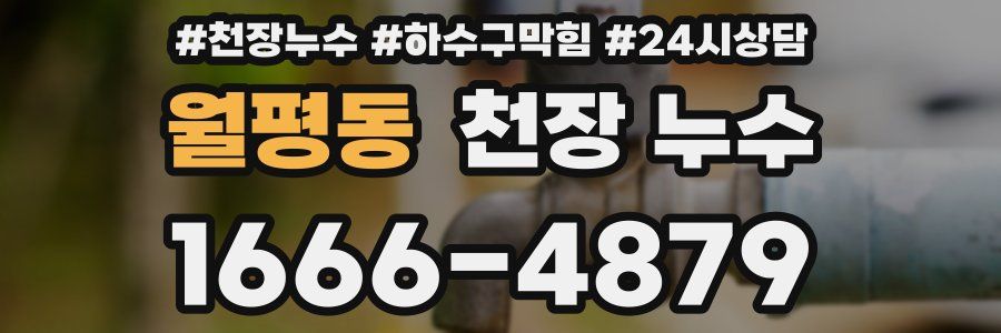 월평동 천장 누수