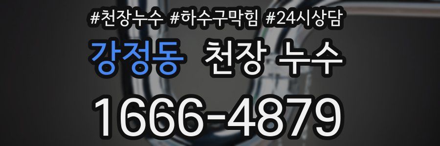 강정동 천장 누수