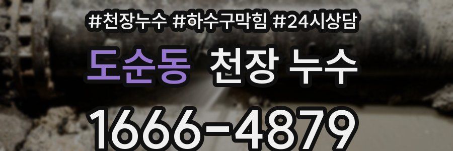 도순동 천장 누수