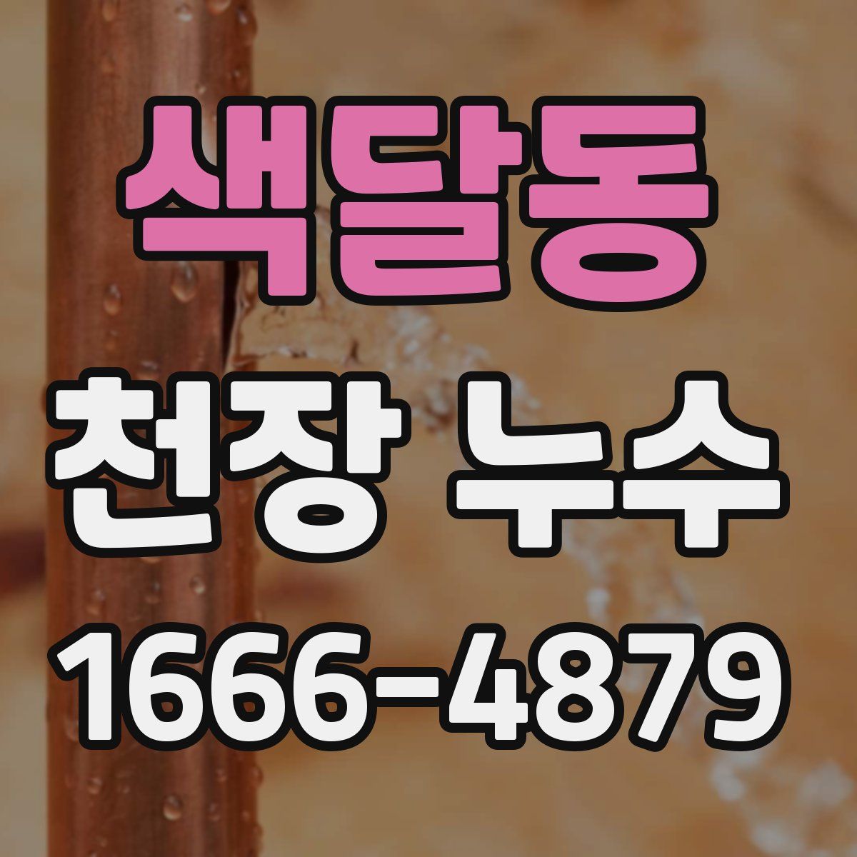 색달동 천장 누수