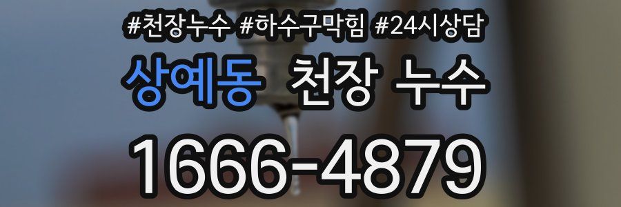 상예동 천장 누수