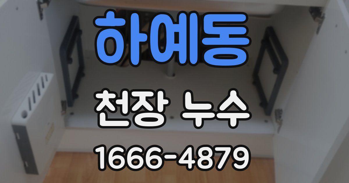 하예동 천장 누수