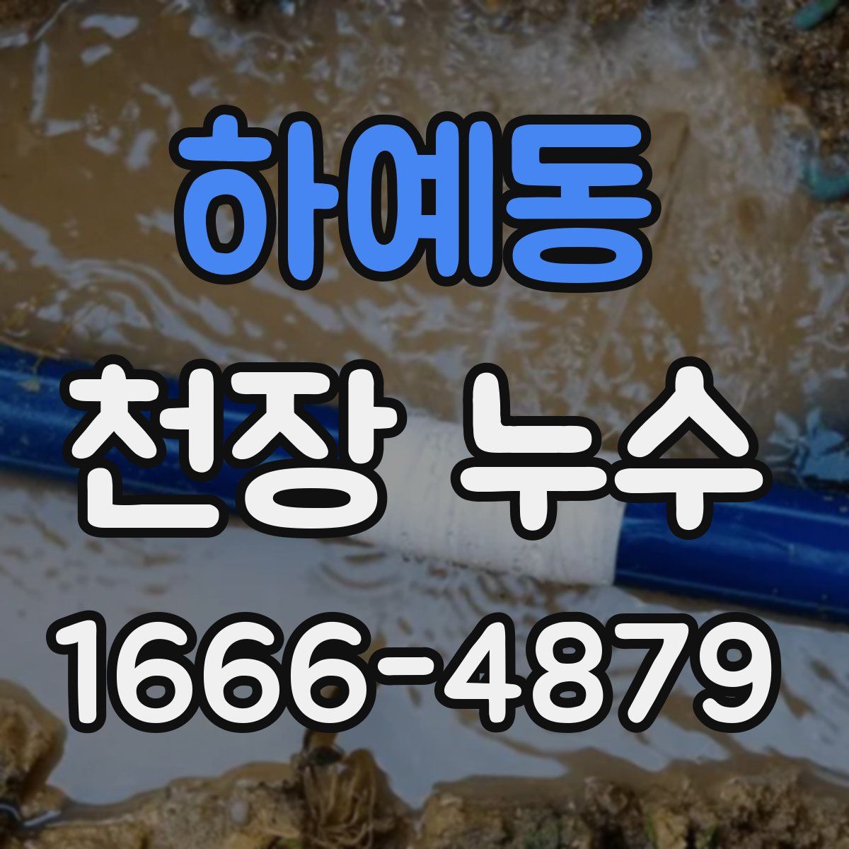 하예동 천장 누수