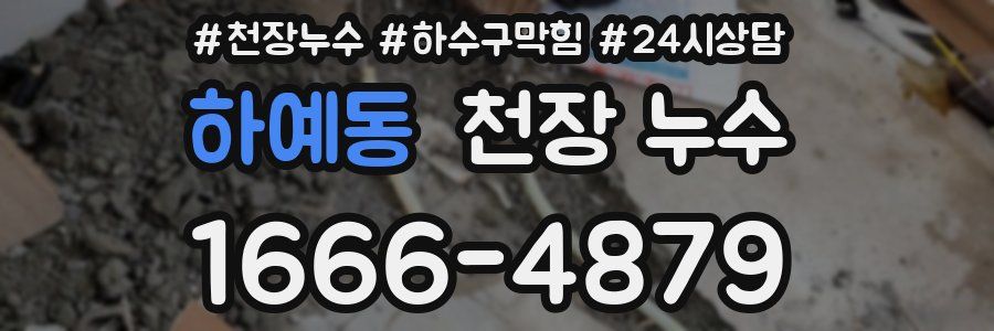 하예동 천장 누수