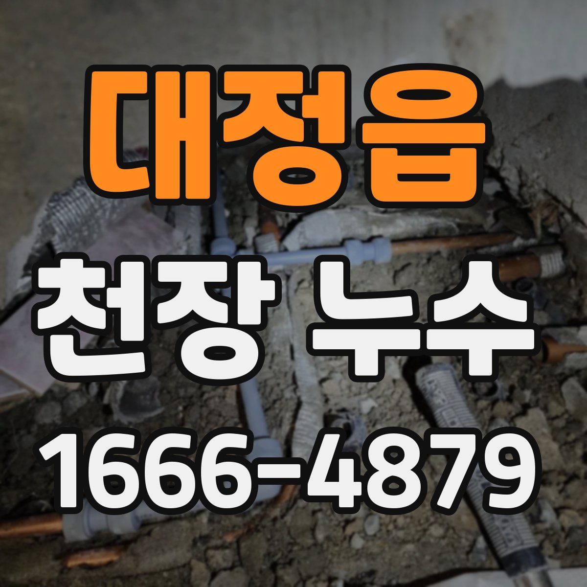 대정읍 천장 누수