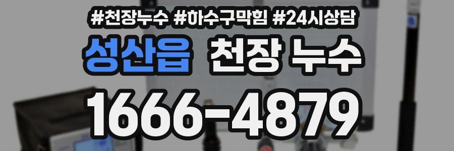 성산읍 천장 누수