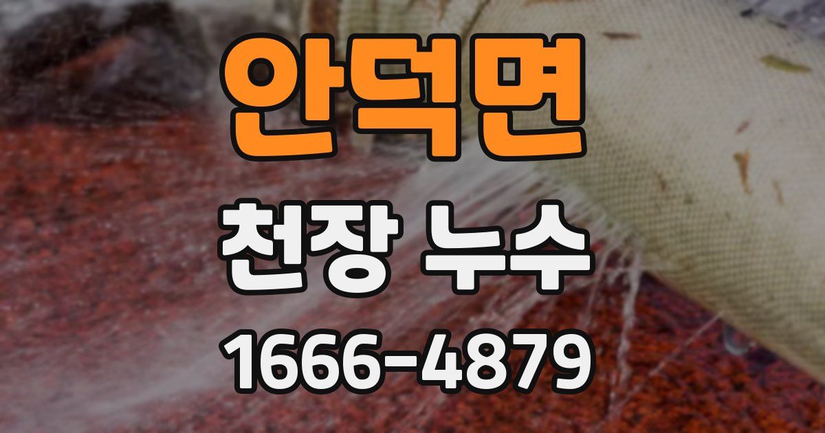 안덕면 천장 누수