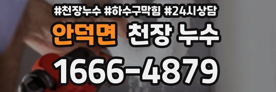 안덕면 천장 누수