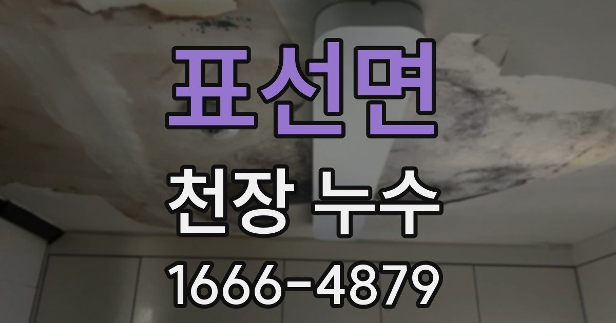 표선면 천장 누수