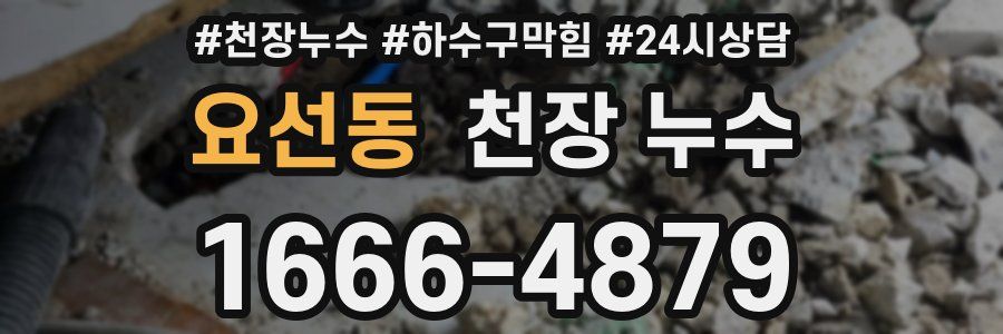 요선동 천장 누수