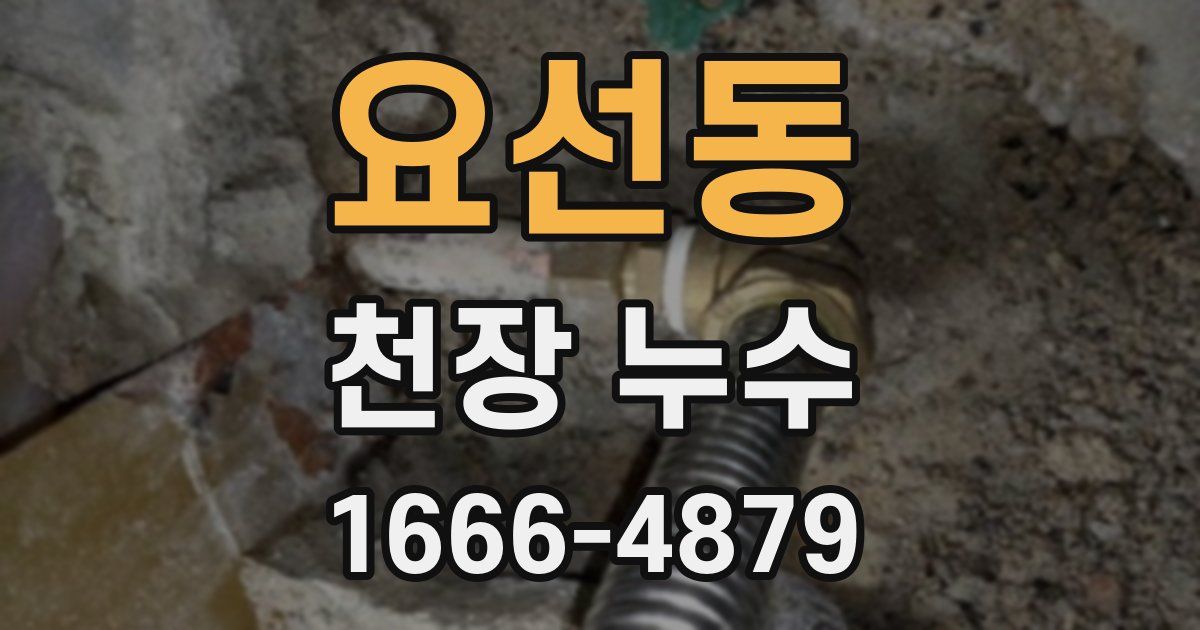 요선동 천장 누수