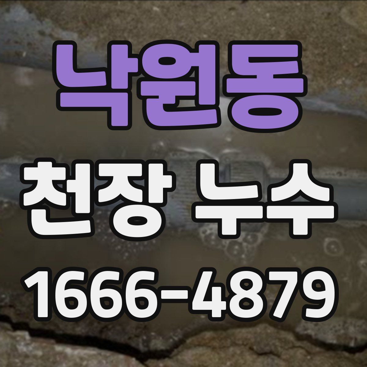 낙원동 천장 누수