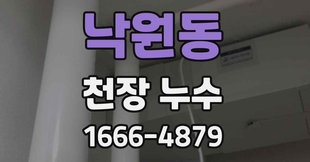 낙원동 천장 누수