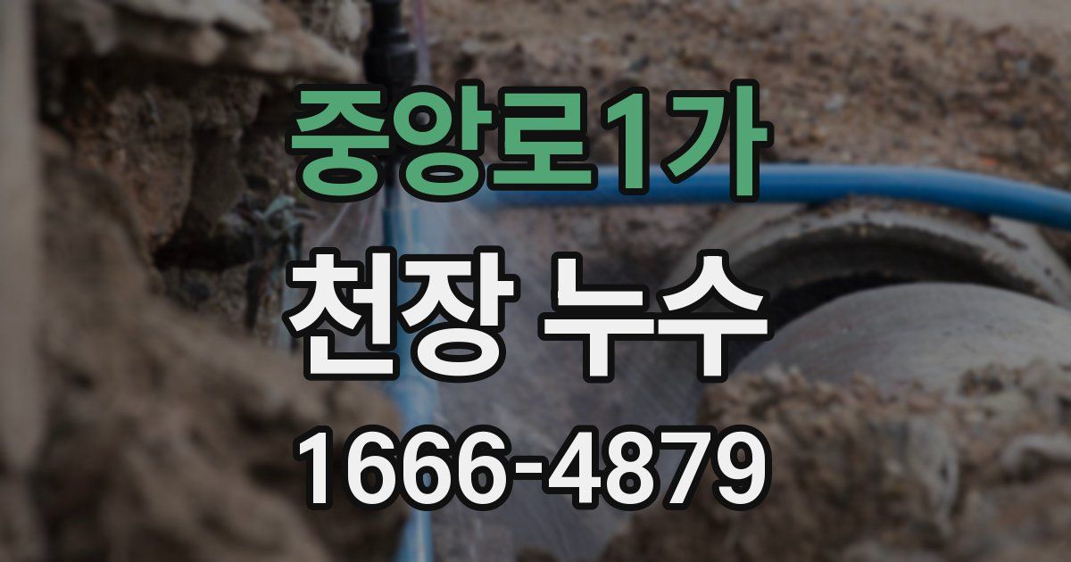 중앙로1가 천장 누수