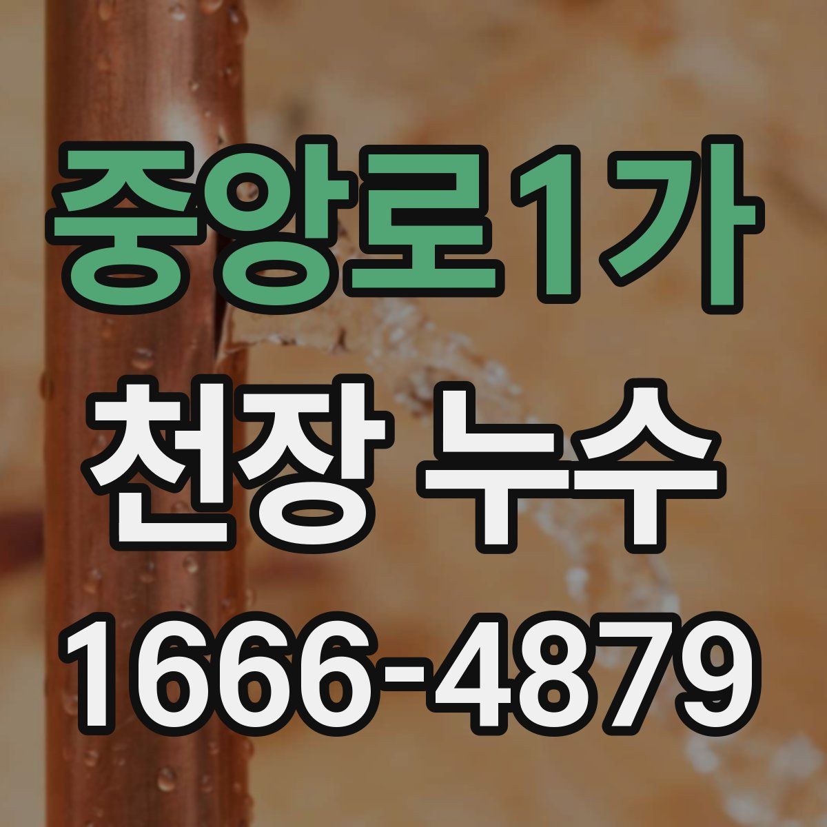 중앙로1가 천장 누수