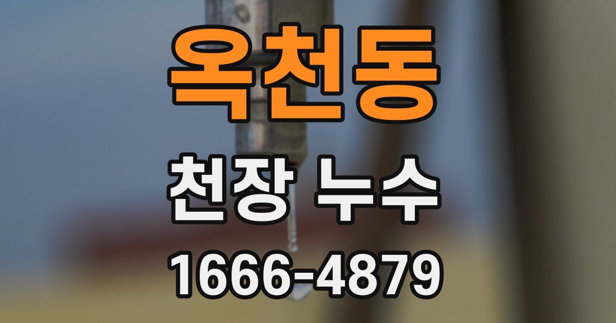 옥천동 천장 누수