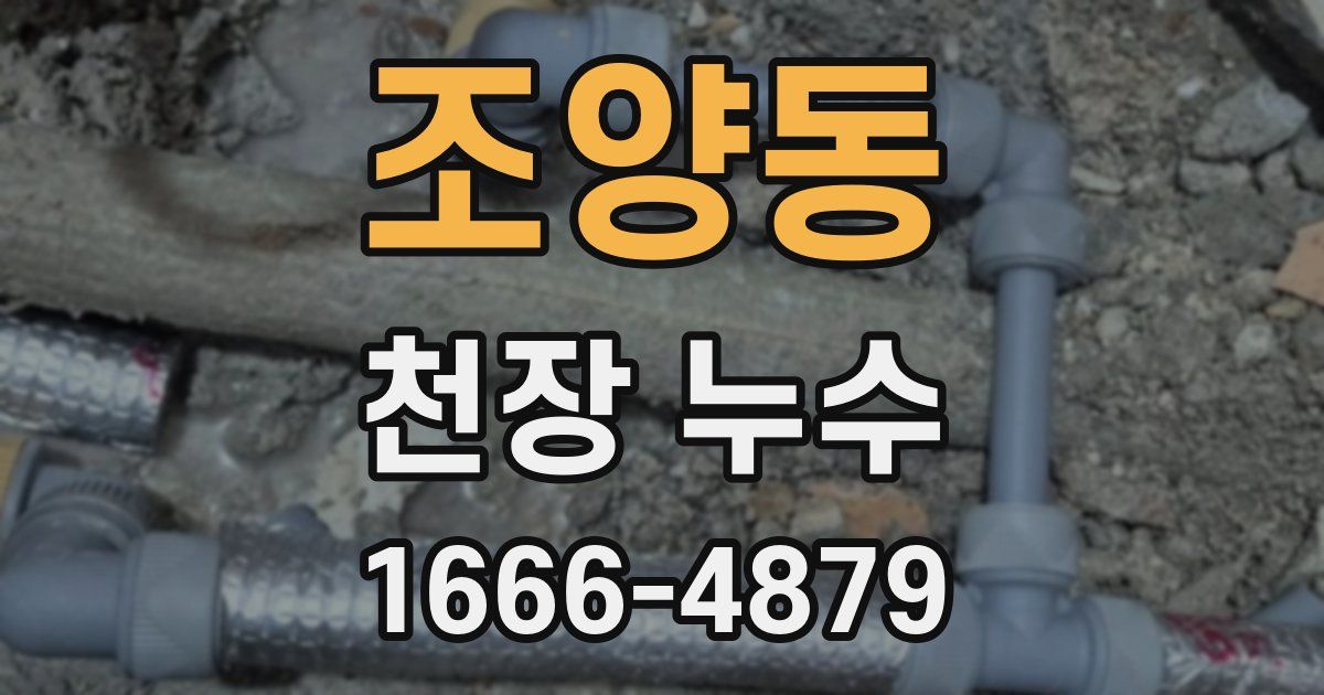 조양동 천장 누수