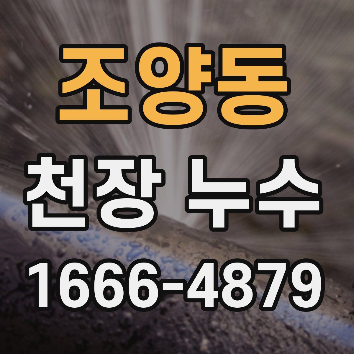 조양동 천장 누수