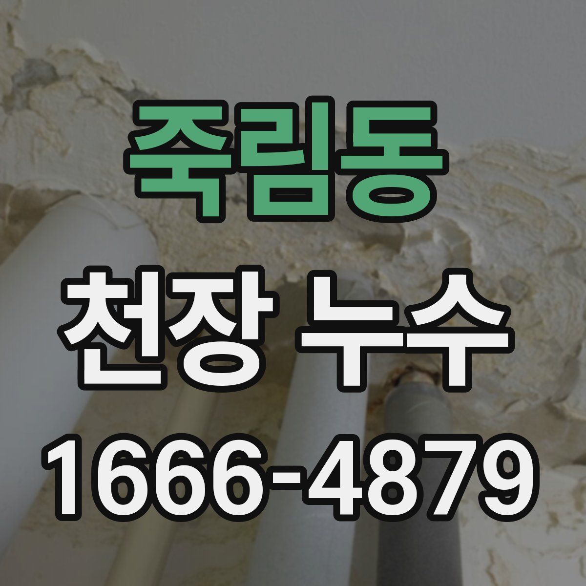 죽림동 천장 누수