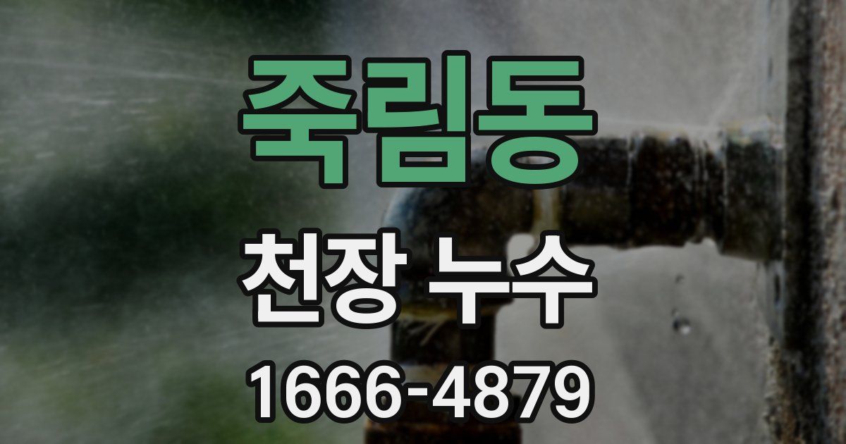 죽림동 천장 누수